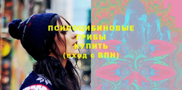 соль ск Алзамай