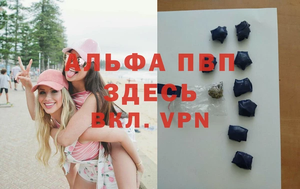 соль ск Алзамай